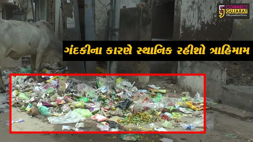 સાબરકાંઠા: પ્રાંતિજ લાલદરવાજા વિસ્તારમાં ગંદકીના  કારણે સ્થાનિક રહીશો ત્રાહિમામ