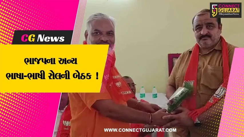 ભરૂચ: અંકલેશ્વરમાં ભાજપના અન્ય ભાષા-ભાષી સેલની બેઠક મળી,વિવિધ મુદ્દે કરાય ચર્ચા