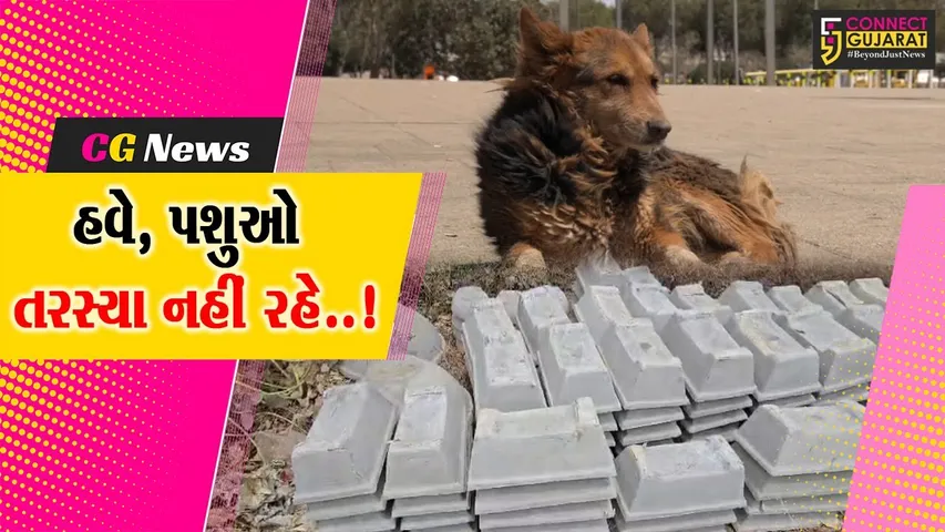 ભરૂચ : જંબુસરના શૈલજા ફોઉન્ડેશન દ્વારા પશુઓને પીવાના પાણીની સગવડ માટે લોકોને નિ:શુલ્ક કુંડાનું વિતરણ કરાયું