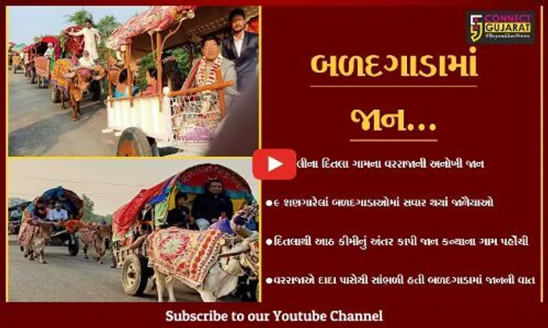 અમરેલી : પૌત્રએ દાદા પાસેથી જાણી જુનવાણી પરંપરા, પૌત્ર બળદગાડામાં જાન લઇ પહોંચ્યો મંડપમાં