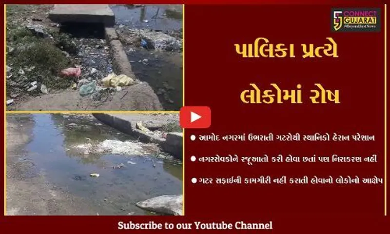 ભરૂચ : આમોદ નગરમાં ઉભરાતી ગટરોથી જનતા ત્રાહિમામ, પાલિકાની અનદેખી સામે સ્થાનિકોમાં રોષ...