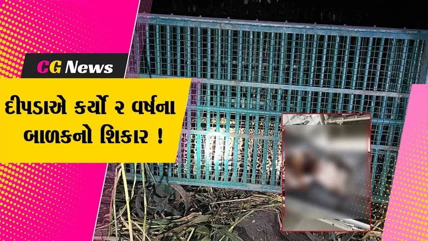 અમરેલી: રાજુલાના કાતર ગામમાં દીપડાએ બે વર્ષના માસૂમનો કર્યો શિકાર, પરિવારમાં શોકનું મોજુ