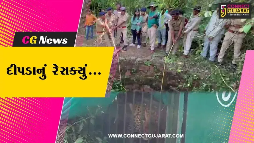 દાહોદ : સીમલાઘસી ગામે કૂવામાં પડેલા દીપડાનું વન વિભાગે કર્યું રેસક્યું, જુઓ વિડિયો...