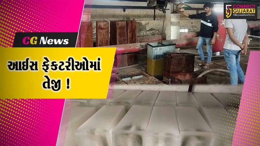 અંકલેશ્વર: કાળઝાળ ગરમી વચ્ચે ઉદ્યોગોમાં બરફની માંગમાં વધારો, રોજના આટલા ટન બરફનું થાય છે વેચાણ