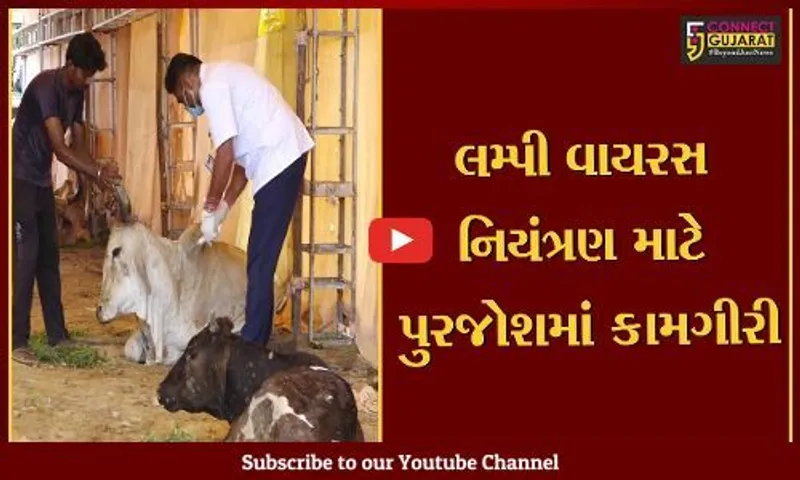 ગાંધીનગર : લમ્પી વાયરસ અંગે સારા સમાચાર, અત્યાર સુધીમાં 41 હજારથી વધુ અસરગ્રસ્ત પશુઓ સ્વસ્થ થયા