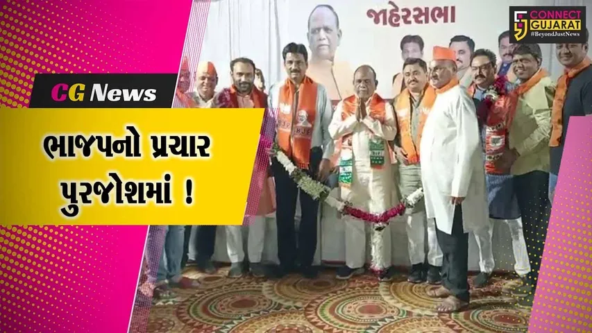 ભરૂચ: BJPના ઉમેદવાર મનસુખ વસાવાએ જાહેરસભામાં વિપક્ષ પર કર્યા આકરા પ્રહાર