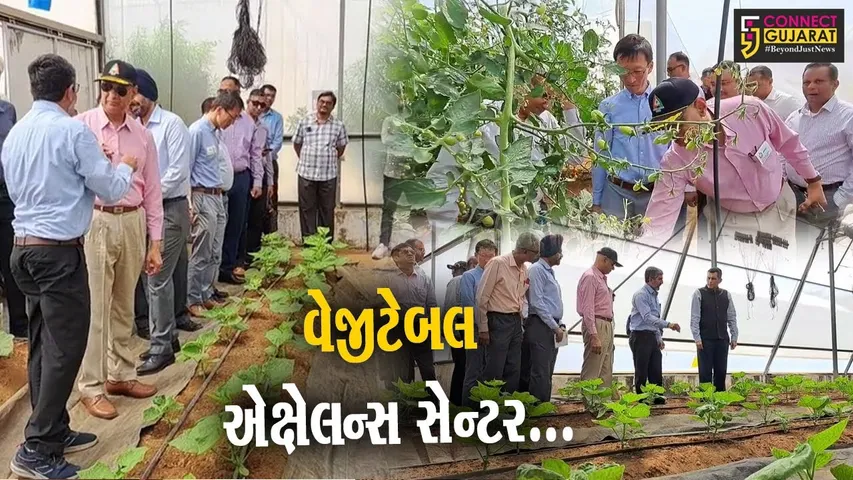 ગુજરાતનું સૌથી મોટું સાબરકાંઠા-વદરાડનું વેજીટેબલ એક્ષેલન્સ સેન્ટર, 5 દેશના અધિકારીઓએ લીધી મુલાકાત.