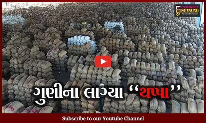 રાજકોટ : મગફળીથી ઉભરાયું ગોંડલ માર્કેટિંગ યાર્ડ, વાહનોની લાગી લાંબી કતાર...