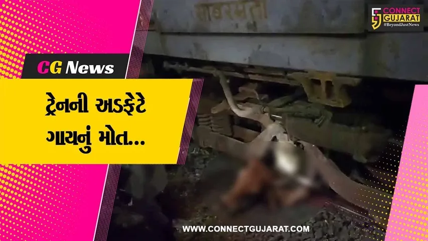 જુનાગઢ : તળાવ દરવાજા નજીક ટ્રેનની અડફેટે આવી જતાં ગાયનું મોત, રેલ્વે અધિકારીઓ દોડતા થયા...