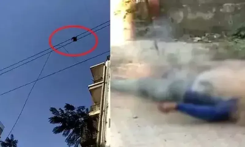 અમદાવાદ : હાઈ ટેન્શન લાઈનમાં ફસાયેલા પક્ષીને બહાર કાઢતાં ફાયરના કર્મચારીનો હાથ વીજ લાઈનને અડી જતાં મોત..!