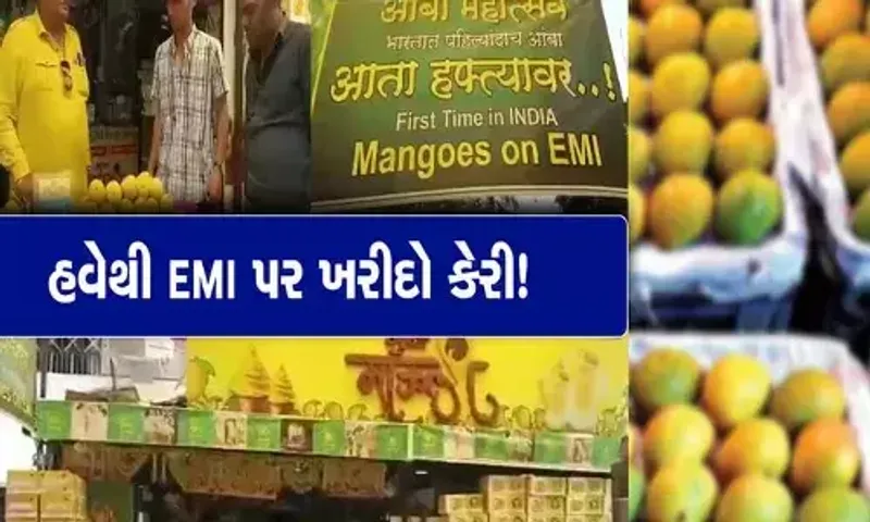 પુણે : હવે કેરી પણ મળશે EMI પર, 3 મહિનાથી લઈ 18 મહિનામાં હપ્તા ચૂકવો