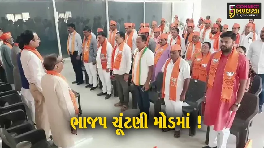 ભરૂચ: લોકસભા બેઠકની ચૂંટણી પ્રબંધન સમિતિની વિશેષ મિટિંગ મળી