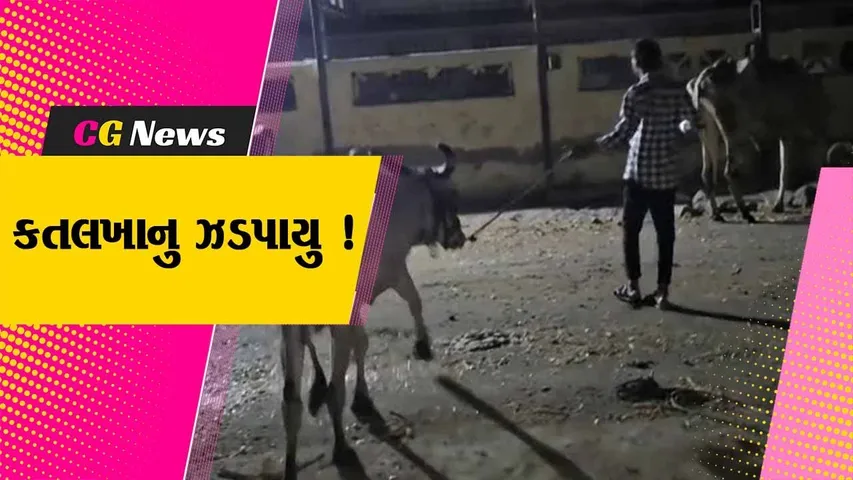 ભરૂચ: અંકલેશ્વરના આલુંજ ગામ નજીકથી ગેરકાયદેસર કતલખાનુ ઝડપાયુ, રૂ.4 લાખથી વધુની કિમતનો મુદ્દામાલ પોલીસે જપ્ત કર્યો