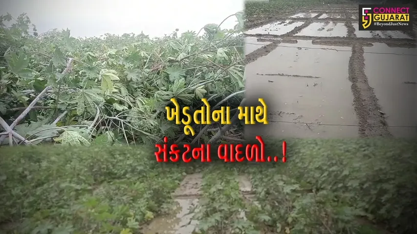 પાટણ : રાધનપુર તાલુકાના ગ્રામ્ય વિસ્તારોમાં વરસ્યો કમોસમી વરસાદ, ખેડૂતોને થયું મોટા પાયે નુકશાન..!