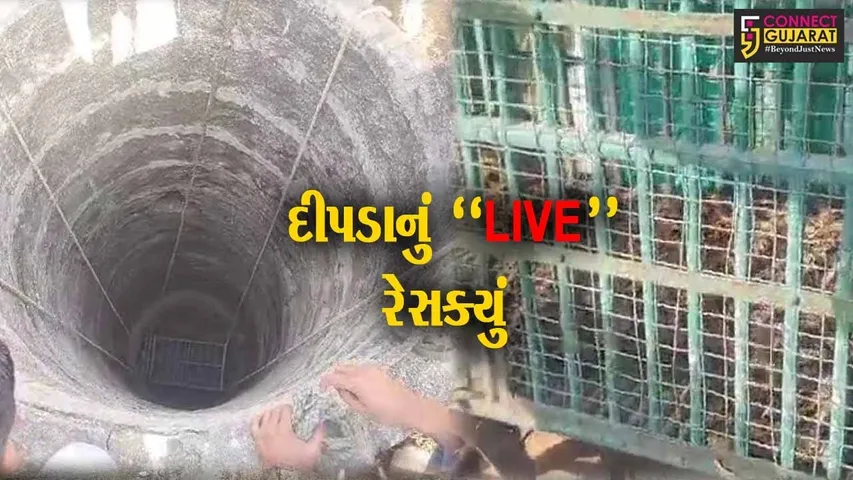 અમરેલી : શિકારની શોધમાં આવી ચઢેલો દીપડો ખુલ્લા કૂવામાં ખાબક્યો, જુઓ “LIVE” રેસક્યું..!