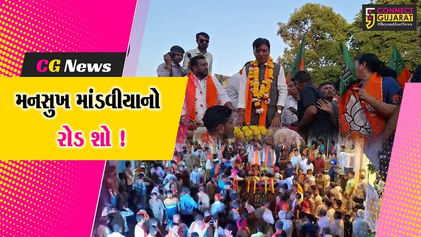 જૂનાગઢ: ભાજપના ઉમેદવાર મનસુખ માંડવીયાનો રોડ શો યોજાયો, પ્રચંડ જીતની આશા કરી વ્યક્ત