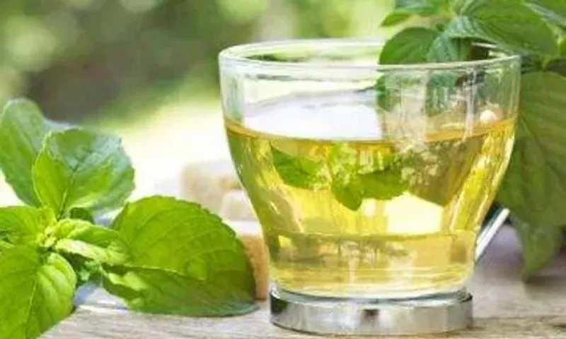શિયાળામાં શરીરને ડિટોક્સ કરવા માટે કરો આ 5 ડ્રિંક્સનો ઉપયોગ...