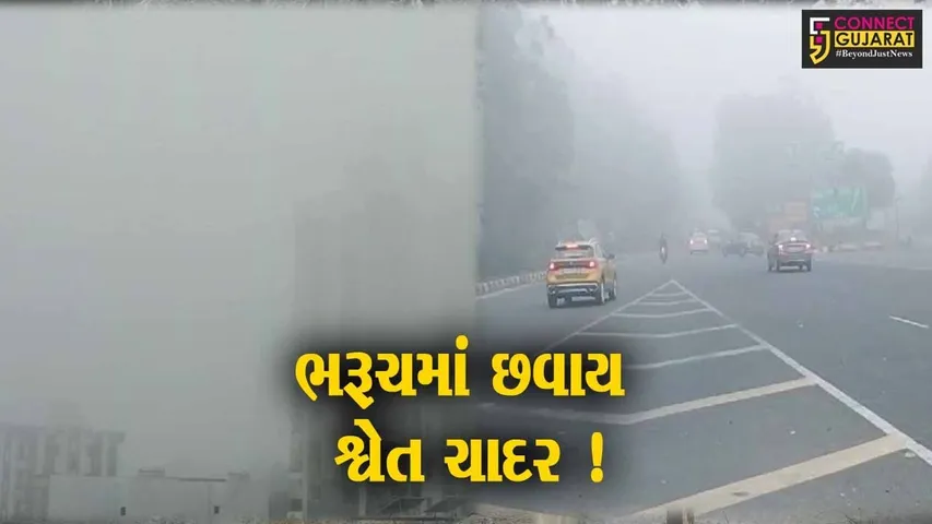 ભરૂચ:ગાઢ ધુમ્મસની ચાદરના કારણે હિલ્સસ્ટેશન જેવો માહોલ, વિઝિબ્લિટી ઘટતા વાહનચાલકોને મુશ્કેલી