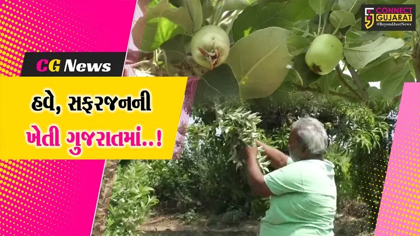 અંકલેશ્વર : કાશ્મીર-હિમાચલ જેવા ઠંડા પ્રદેશમાં થતી સફરજનની ખેતી કરી અંદાડાના પ્રગતિશીલ ખેડૂત પ્રયોગમાં સફળ…