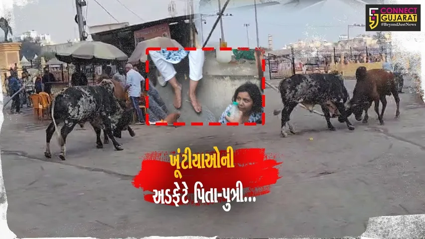 ગીર સોમનાથ : સોમનાથ તીર્થ પરિસરમાં રખડતાં આખલાઓની અડફેટે મુંબઈના યાત્રિક પિતા-પુત્રીને ઇજા...