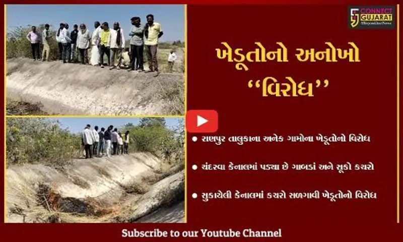 બોટાદ : ચંદરવા માઈનોર કેનાલમાં ખેડૂતોએ કચરો સળગાવી નોંધાવ્યો વિરોધ, પાણી વિના પાક નિષ્ફળ જવાની ભીતિ