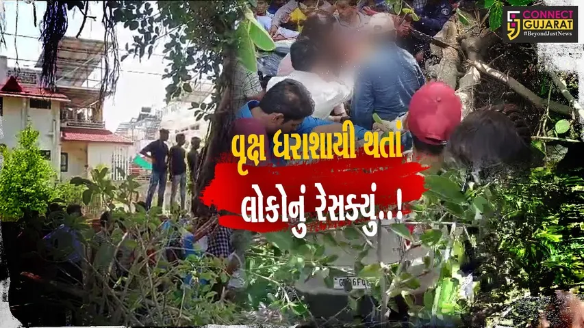 LIVE રેસક્યું..! : વડોદરા-માંજલપુરમાં વિશાળકાય વૃક્ષ ધરાશાયી થતાં 2 વાહનો દબાયા, રીક્ષાનું પતરું કાપી ચાલકને બહાર કઢાયો...