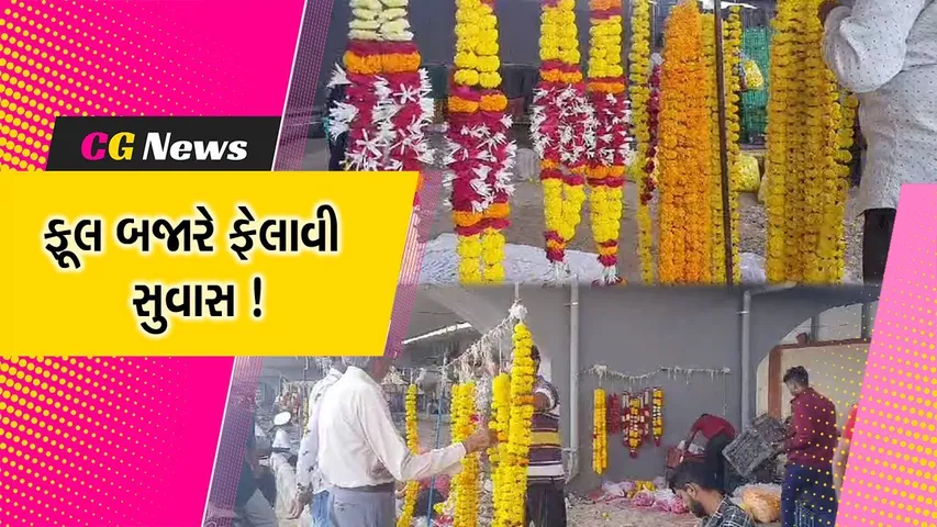 ભરૂચ મુરઝાયેલા ફૂલના ધંધા માં દશેરાએ જોવા મળી તેજી,લોકોએ અઢળક ફૂલો ખરીદ્યા