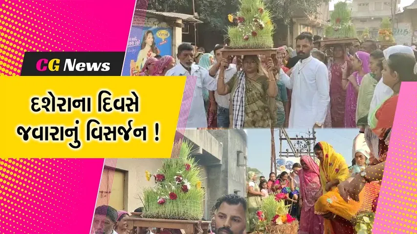 અંકલેશ્વર:દશેરાના દિવસે  વાજતે ગાજતે  માતાજીના જવારાનું વિસર્જન કરાયુ