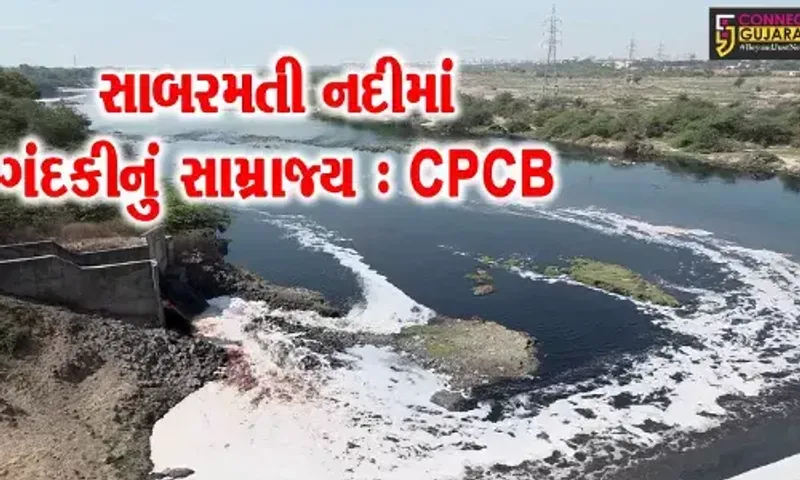 અમદાવાદ : CPCBના રિપોર્ટને લઈ સાબરમતી નદી પ્રદૂષણ અંગે હાઈકોર્ટે વ્યક્ત કરી ચિંતા…