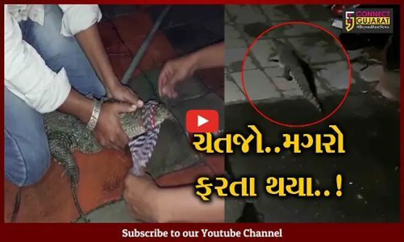 વડોદરા : વહેલી સવારે શ્વાનોને ભસતા સાંભળી ઘર માલિકે બાલ્કનીમાંથી જોયું, તો તેના હોશ જ ઊડી ગયા...