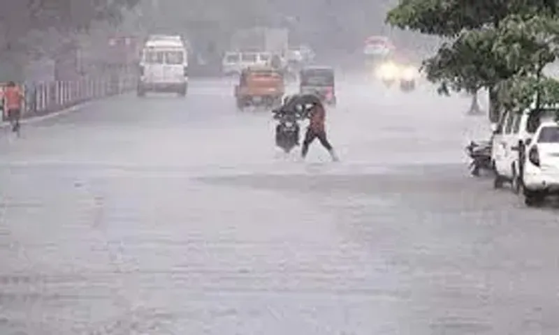 રાજ્યના ચાર જિલ્લામાં ભારેથી અતિભારે વરસાદની કરવામાં આવી આગાહી