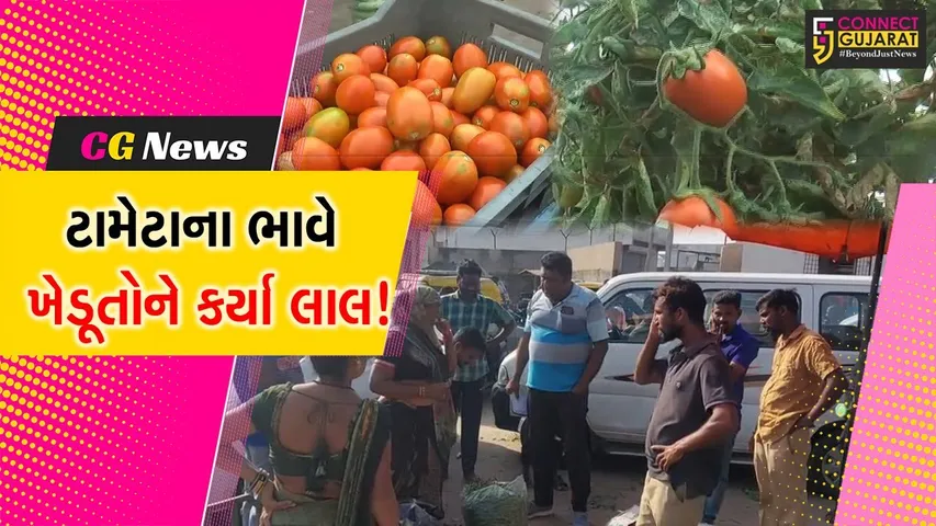 સાબરકાંઠા: ટામેટા પકવતા ખેડૂતોને લાલ પાણીએ રોવાનો વારો,જુઓ શું છે કારણ