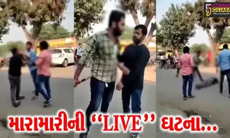 હુમલાના “LIVE” વિડિયો : વડોદરાના મકરપુરામાં 5 લોકોએ યુવાનને ઘેરી લાકડીના ફટકા માર્યા…