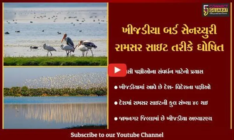 જામનગર : ખીજડીયા અભ્યારણ્ય રામસર સાઇટ તરીકે જાહેર, જુઓ શું છે રામસર સાઇટ