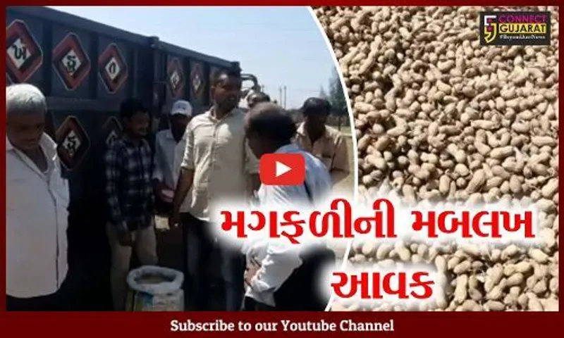 ગીર સોમનાથ : પ્રાસલી યાર્ડમાં મગફળીની આવરો શરૂ, સારા ભાવ મળતાં ખેડુતો ખુશ