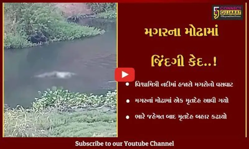 વડોદરા : મગરના મોઢામાં આવી ગયો યુવકનો મૃતદેહ, 3થી વધુ મગરો વચ્ચે ઘેરાયાલો હતો,જુઓ પછી શું થયું