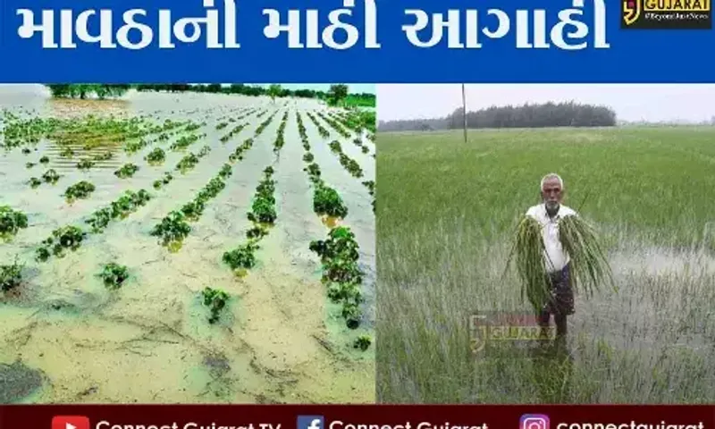 ગુજરાતની માથે ફરી તોળાયા માવઠાના વાદળો, આ જિલ્લામાં આગામી 24 કલાકમાં પડી શકે છે કમોસમી વરસાદ