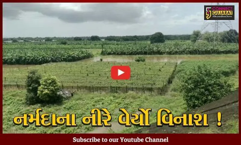 અંકલેશ્વર: નર્મદા નદીના ધસમસતા પ્રવાહે કાંઠા વિસ્તારના ગામોની 2 હજાર હેક્ટર જમીનમાં નુકશાન વેર્યુ