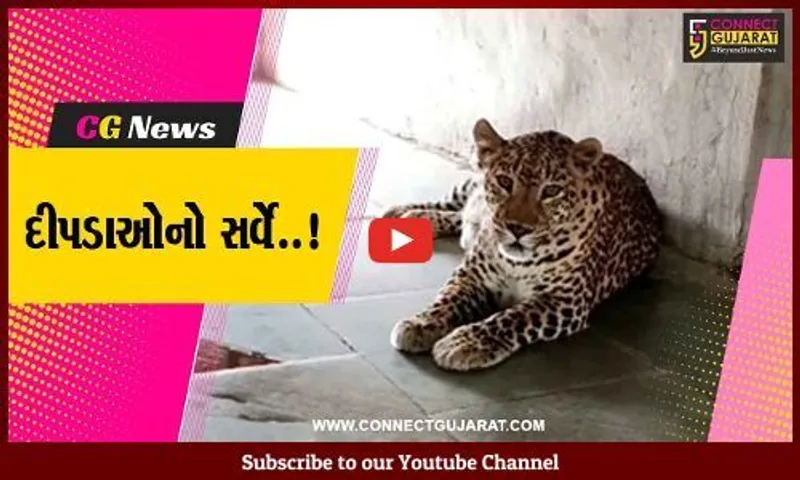 વડોદરા : ખોરાકની શોધમાં શહેરી વિસ્તારમાં આવી ચઢે છે ખૂંખાર દીપડા, MSUના વિદ્યાર્થીઓએ કર્યો સર્વે...