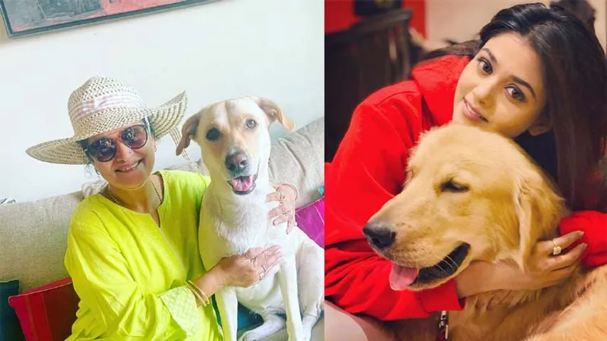 ‘एनिमल वेलफेयर डे’ के मौके पर, एण्डटीवी के पेट पेरेंट्स ने अपने पालतू पशुओं की देखभाल और सेहत के बारे में बात की