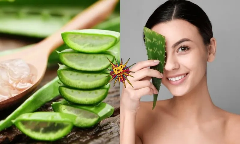 Aloe Vera Face Packs: Definitely try these 5 Aloe Face Packs to get rid of all skin problems!