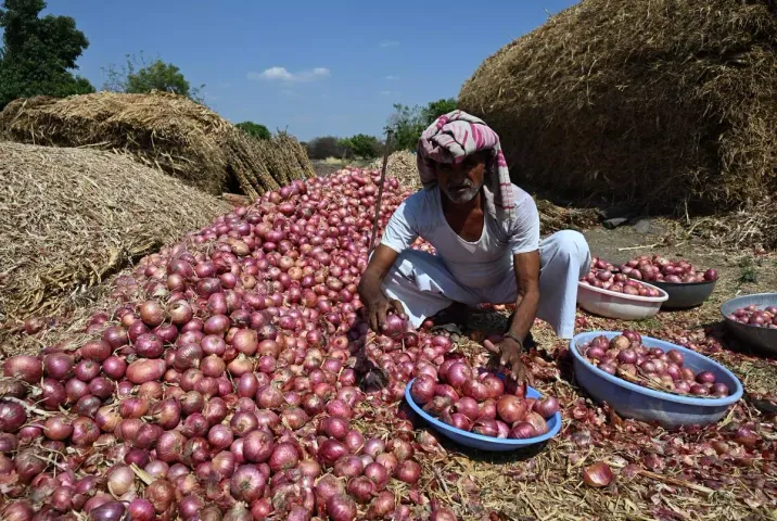 India’s Onion Farmers At Loss in Global Market Due to High Export Duty