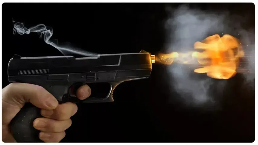 Gun 