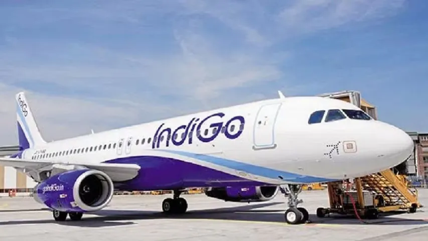 Indigo Flight