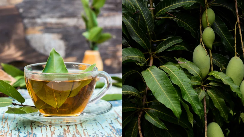 Mango leaf tea