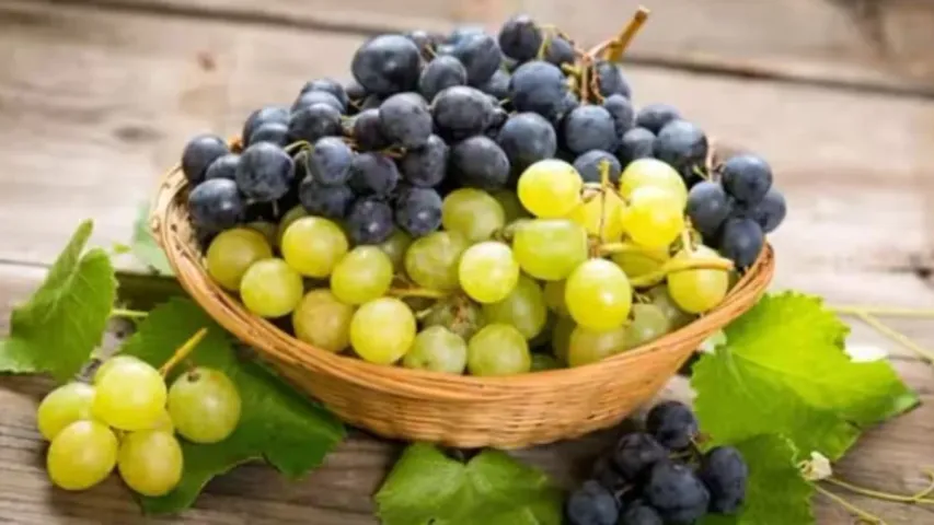 Black Grapes: నల్ల ద్రాక్షతో ఎన్నో ఆరోగ్య ప్రయోజనాలు.. అవేంటో తెలుసుకోండి!