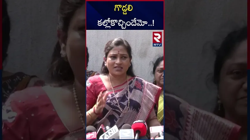 విజయసాయి రెడ్డిపై హోమ్ మినిస్టర్ సెటైర్లు | Home Minister Anitha Satires On MP Vijayasai Reddy | RTV