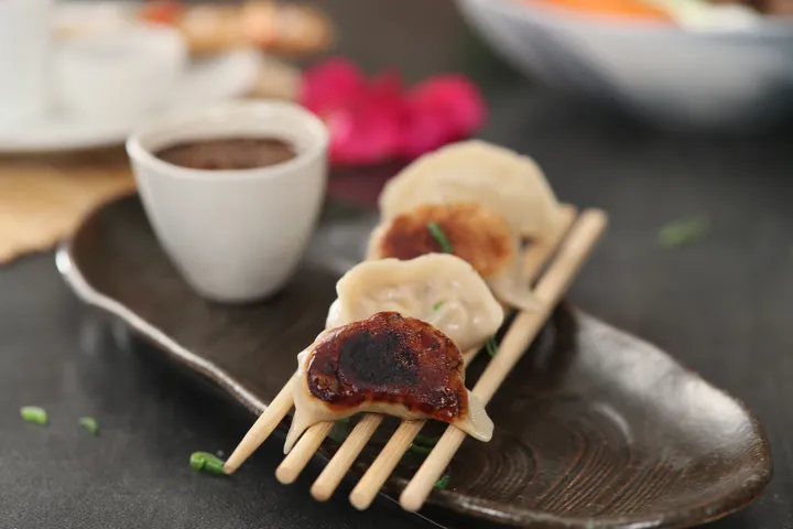 Chicken Gyoza - YT