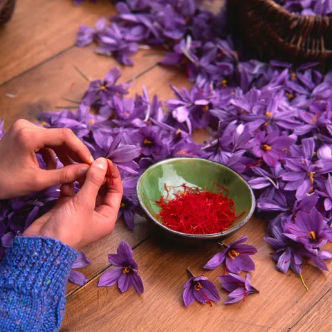 Kesar, the Golden Thread Woven into India’s Heritage