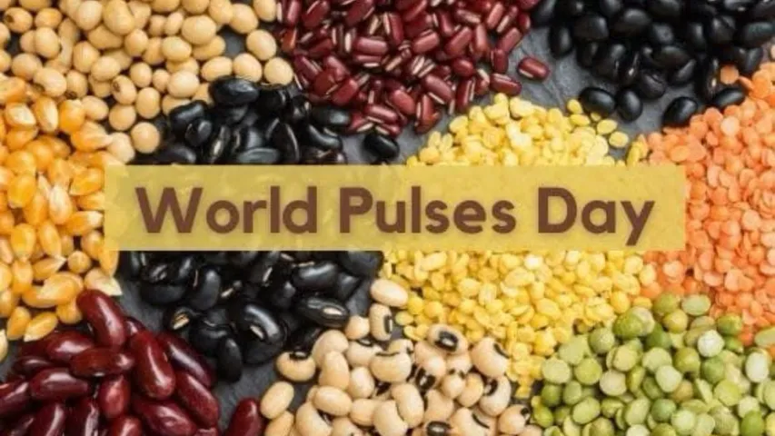 World Pulses Day